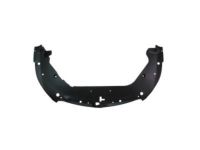 GM 23212540 Sight Shield, Front
