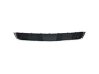 GM 23181987 Lower Grille, Black