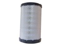 GM 25168081 Air Filter