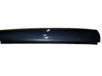 GM 22700601 Applique, Passenger Side