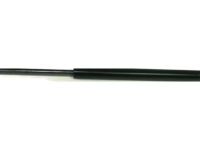 GM 22743451 Lift Cylinder, Passenger Side
