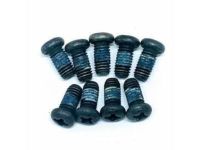 GM 14062360 Hinge Screw