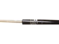 GM 22064760 Strut, Rear