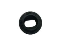 GM 25938714 Button, Front Floor Mat