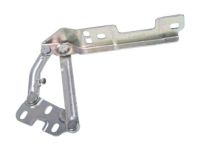 GM 20879202 Hinge, Driver Side