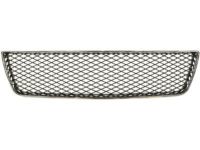 GM 10333712 Lower Grille, Black