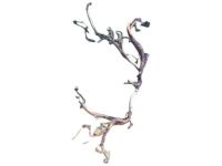 GM 12647115 Harness, Engine Wiring