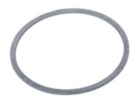 GM 89060038 Shim, Differential Bearing Adjusting