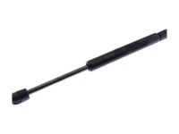 GM 10419581 Lift Cylinder, Rear