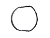 GM 25189205 Thermostat Seal, Lower