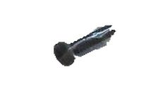 GM 11508919 License Bracket Screw, Front