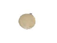 GM 14059878 Lamp Lens