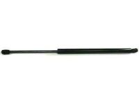 GM 10275941 Lift Cylinder
