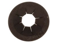 GM 11501937 Map Pocket Nut