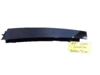 GM 21995391 Applique, Front Passenger Side