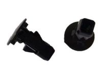 GM 95216004 Splash Shield Retainer