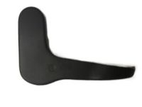 GM 15279619 Outer Finish Panel, Passenger Side