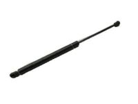 GM 15872899 Lift Cylinder, Passenger Side