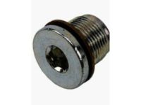 GM 19256069 Drain Plug