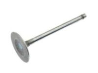 GM 10241743 Intake Valve