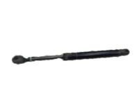 GM 15911948 Lift Cylinder, Rear