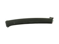 GM 20787558 Outer Molding, Passenger Side