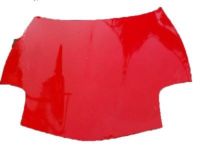 GM 10320926 Hood