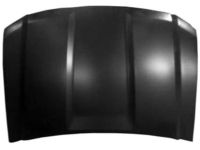 GM 84348415 Hood