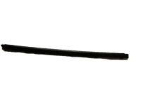 GM 15753758 Belt Weatherstrip, Front Outer Passenger Side