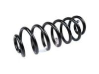 GM 13367032 Coil Spring, Front