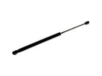 GM 96661547 Strut Cylinder