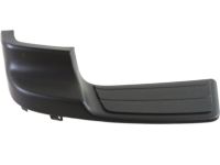 GM 12335817 Step Pad, Rear Driver Side