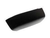 GM 15215527 Applique, Rear Passenger Side