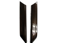 GM 84041571 Trim Molding, Driver Side