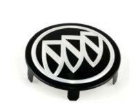 GM 55571149 Emblem
