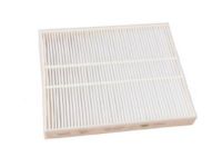 GM 23393247 Air Filter, Passenger Side