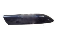 GM 25832916 Rail Cover, Passenger Side