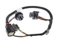GM 23126521 Socket & Wire, Rear