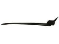 GM 92243319 Belt Weatherstrip