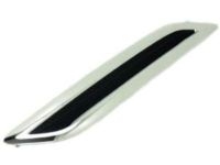 GM 15918065 Louver, Driver Side