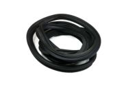 Buick Weather Strip - 25735039 Weatherstrip, Rear