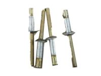GM 10157547 Rivet, Front Door Window Regulator