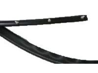 GM 22614341 Weatherstrip On Body, Driver Side