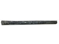 GM 15138387 Belt Weatherstrip, Front