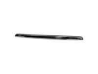 GM 20963701 Front Molding