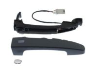 GM 13521820 Handle, Outside, Front