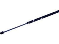 GM 25796762 Lift Cylinder