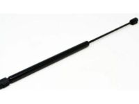 GM 15029087 Lift Cylinder, Driver Side