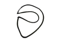 GM 20805481 Door Weatherstrip, Driver Side