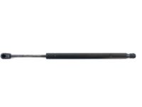 GM 10399704 Lift Cylinder